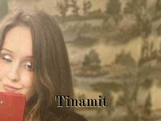 Tinamit