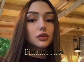 Tinamoone