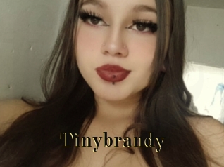 Tinybrandy