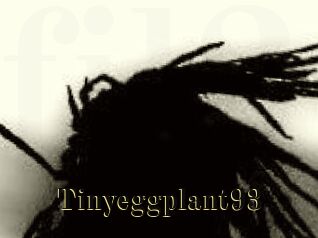 Tinyeggplant93