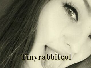 Tinyrabbitcol