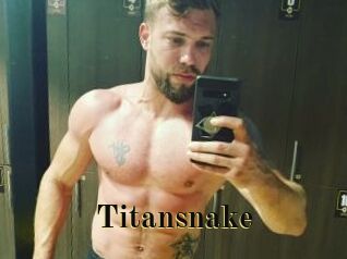 titansnake Films 2 Q