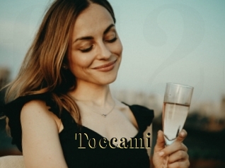 Toccami