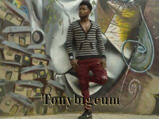 Tonybigcum