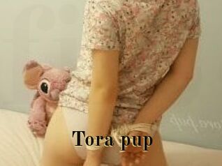Tora_pup
