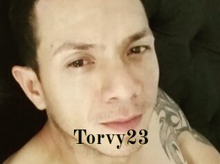 Torvy23