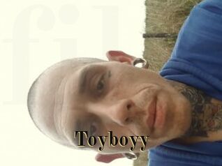 toyboyy Films 2 Q
