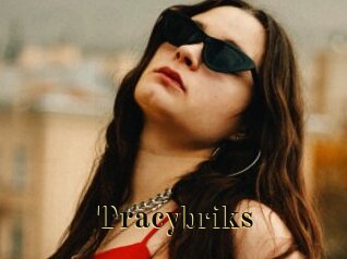 Tracybriks