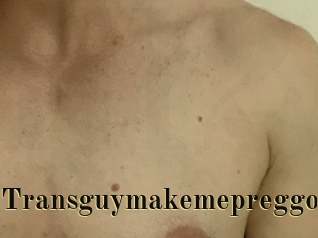 Transguymakemepreggo