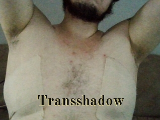 Transshadow