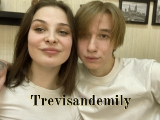 Trevisandemily