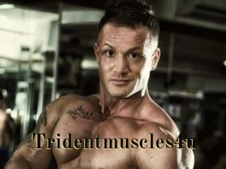 Tridentmuscles4u