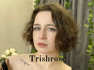 trishrose Films 2 Q