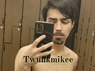 Twunkmikee