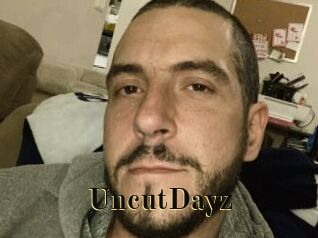 UncutDayz