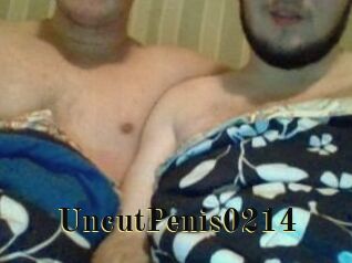UncutPenis0214