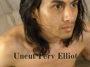 Uncut_Perv_Elliot
