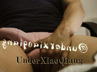 UnderXiaoQiang