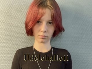 Udelehallett