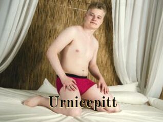 Urnicepitt