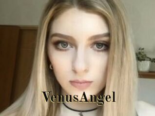 VenusAngel