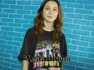 VestaBloom Films 2 Q