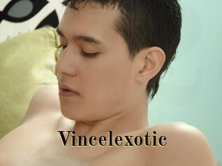 Vincelexotic