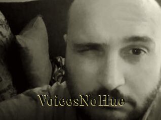 VoicesNoHue
