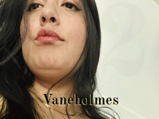 Vaneholmes