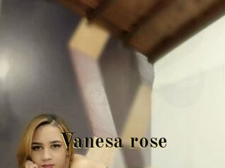 Vanesa_rose
