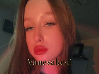 Vanesakeat