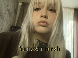 Vanesamarsh