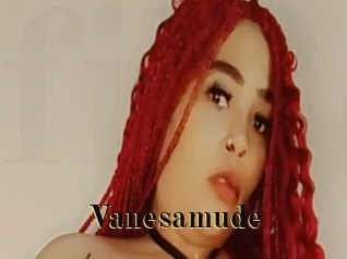 Vanesamude