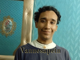 Vannesapein