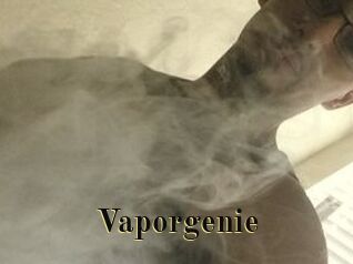 Vapor_genie