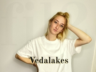 vedalakes Films 2 Q