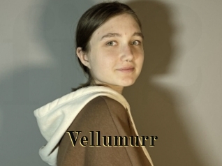 Vellumurr