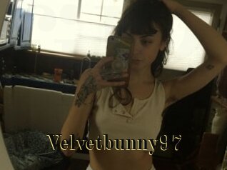 Velvetbunny97