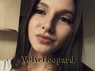 Velvetleopard