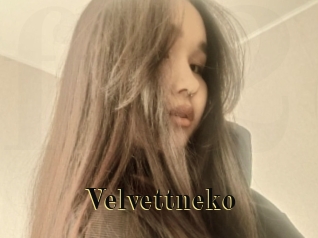 Velvettneko