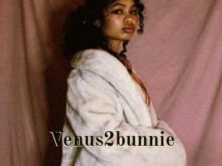 Venus2bunnie