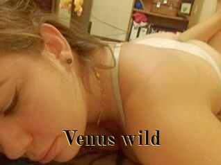Venus_wild