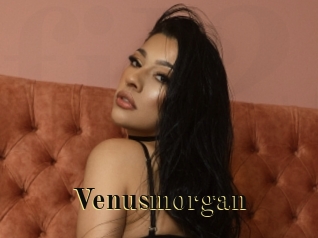 Venusmorgan