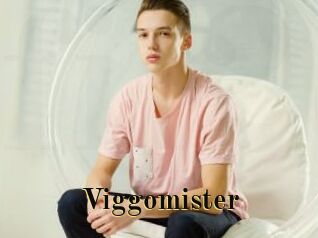 Viggomister