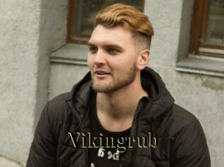 Vikingrub
