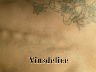 Vinsdelice
