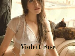 Violett_rose