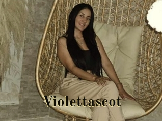 Violettascot
