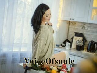 VoiceOfsoule