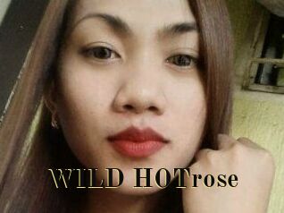 WILD_HOTrose